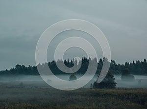 Foggy autumn morning landscape with a field near the forest