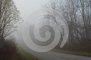 Foggy autumn morning rural road view