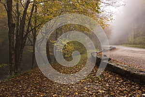 Foggy Autumn Road Great Smoky Mountains