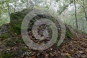 Foggy autumn Thuringian forest with an immense rough stone covered with moss and fallen foliage