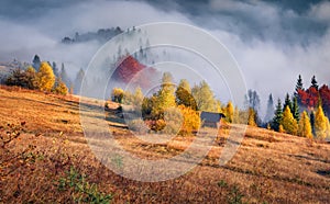 Foggy autumn view of abandoned mountain valley