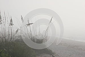 Foggy beach