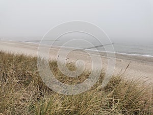 foggy beach at the Baltic Sea