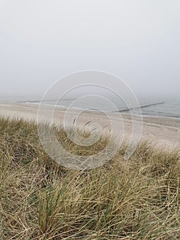foggy beach at the Baltic Sea