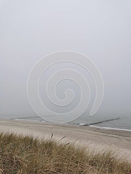 foggy beach at the Baltic Sea