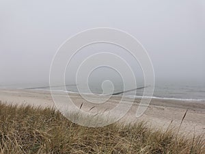 foggy beach at the Baltic Sea