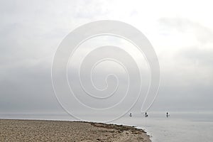 Foggy Beach with Paddleboarders in the water of harbor flensburg and Kollund in denmark photo