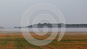 Foggy bean field with wind turbine and trees