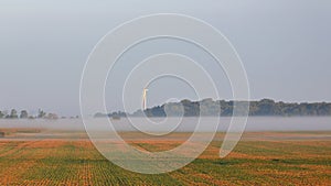 Foggy bean field with wind turbine and trees at dawn