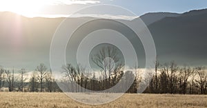 Foggy cades cove morning in great smoky mountains national park