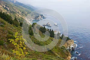 Foggy California coast