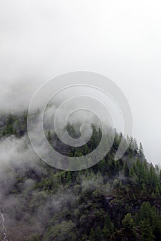 Foggy clouds rising from alpine mountain forest