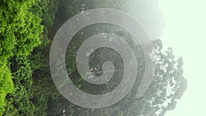 foggy clouds in the tropical rainforest, in Brazil.