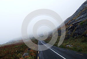 Foggy coastal road in County Clare