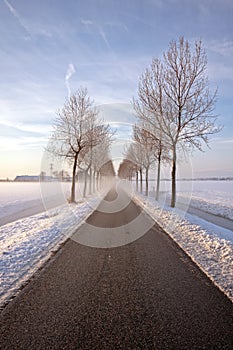 Foggy countryroad in wintertime photo