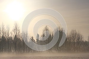 Foggy countryside landscape in winter