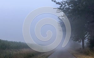 Foggy countryside road