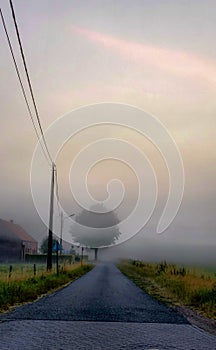 Foggy countryside road sunrise