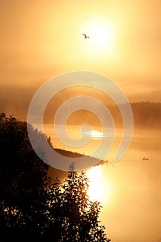 Nebbioso alba sul un fiume 