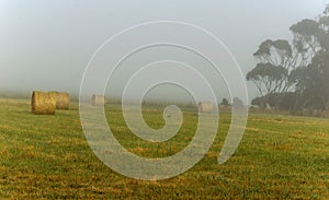 Foggy dawn in Warrnambool, Australia. Beautiful morning light.