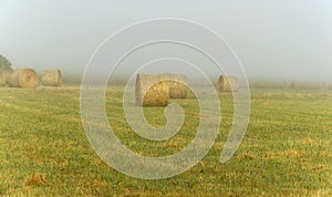 Foggy dawn in Warrnambool, Australia. Beautiful morning light.