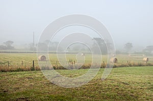 Foggy dawn in Warrnambool, Australia. Beautiful morning light