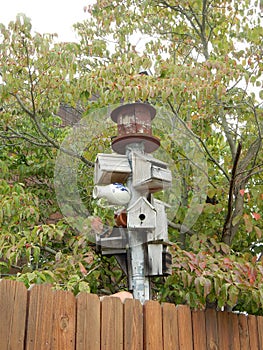 Foggy day Bird Houses Williamsburg pottery pitcher