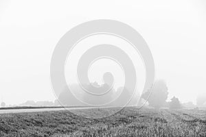 Foggy day in a black white version