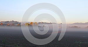 Foggy day with cultivated field in autumn