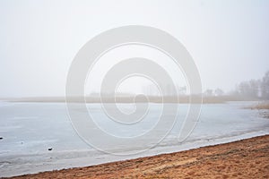 Foggy day on a deserted winter lake shore