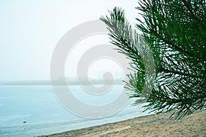 Foggy day on a deserted winter lake shore