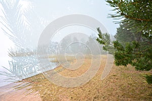 Foggy day on a deserted winter lake shore