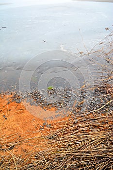 Foggy day on a deserted winter lake shore