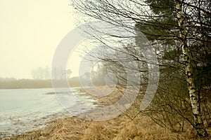 Foggy day on a deserted winter lake shore