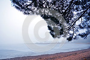 Foggy day on a deserted winter lake shore