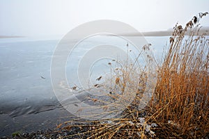 Foggy day on a deserted winter lake shore