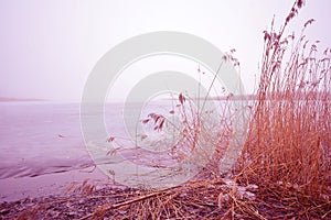 Foggy day on a deserted winter lake shore