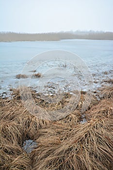 Foggy day on a deserted winter lake shore