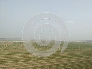 Foggy day farmland in the north of Huaihe River