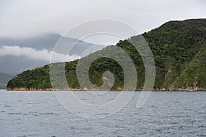 A foggy day in the Marlborough Sounds, in the South Island of New Zealand