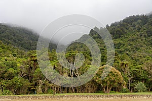 A foggy day in the Marlborough Sounds, in the South Island of New Zealand