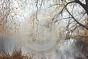 Misty November day