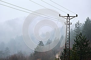 Foggy day, misty weather, electricity post