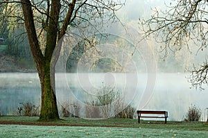 Foggy deer lake