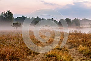 Foggy dirt road at summer morning riverbank. Misty dawn at summer meadow