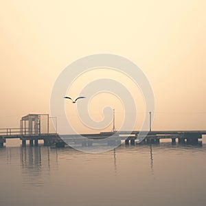 foggy dock. pier, autumn silence. calm. seagulls.