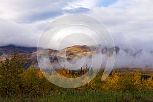 Foggy fall boreal forest taiga hills Yukon Canada