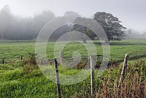 Foggy farmland, New Zealand