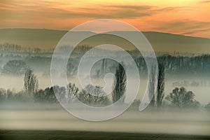 Foggy field