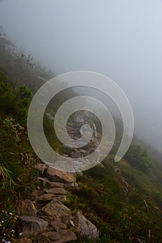 Foggy footpath on  table mountain, cape town, south africa